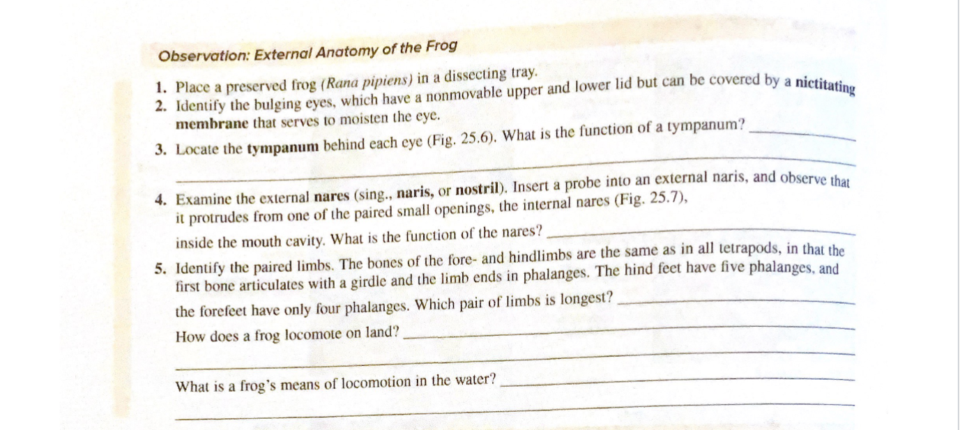 Solved Observation: External Anatomy of the Frog 1. Place a | Chegg.com