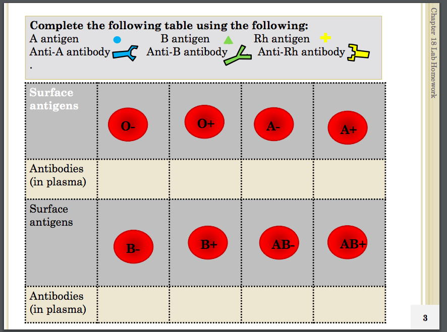 Solved BLOOD CELL IDENTIFICATION Identify the formed