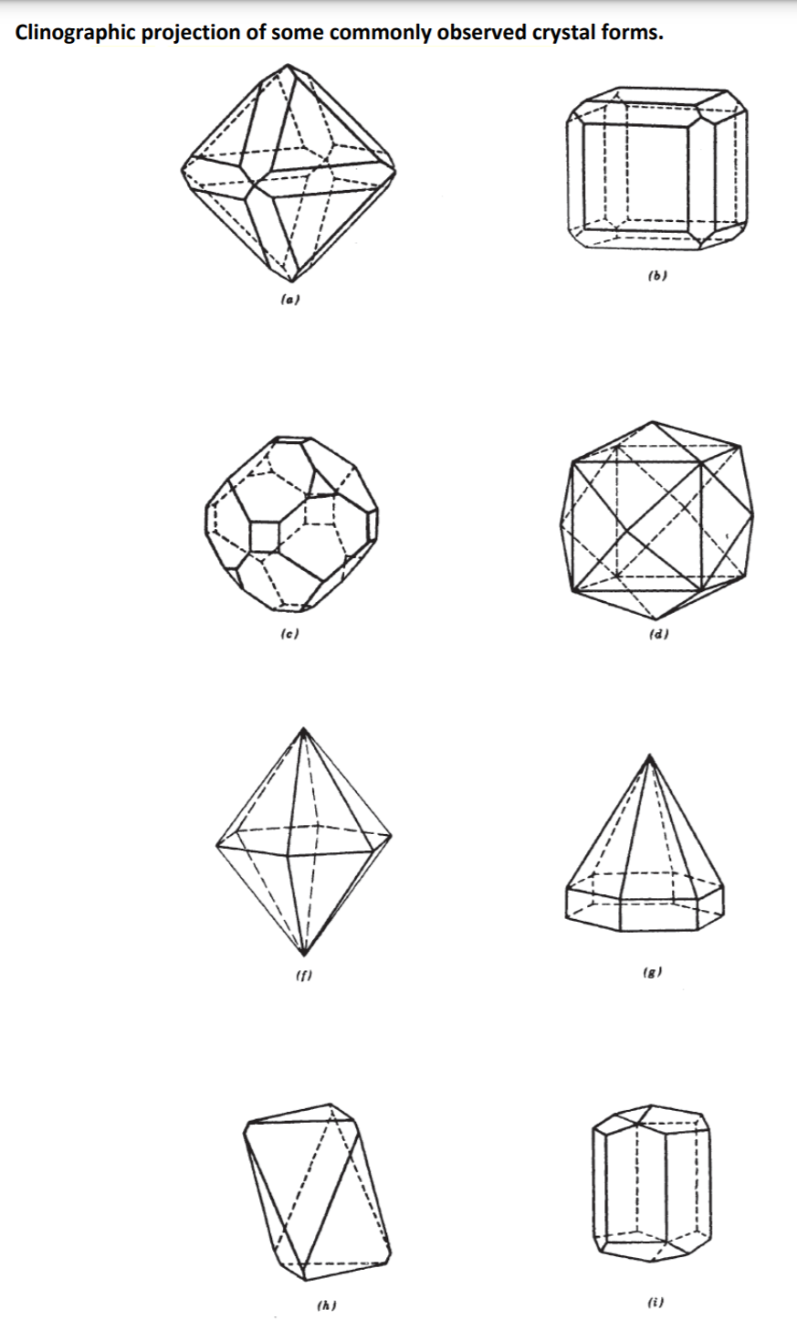 Solved These illustrations are meant as a basis for the | Chegg.com