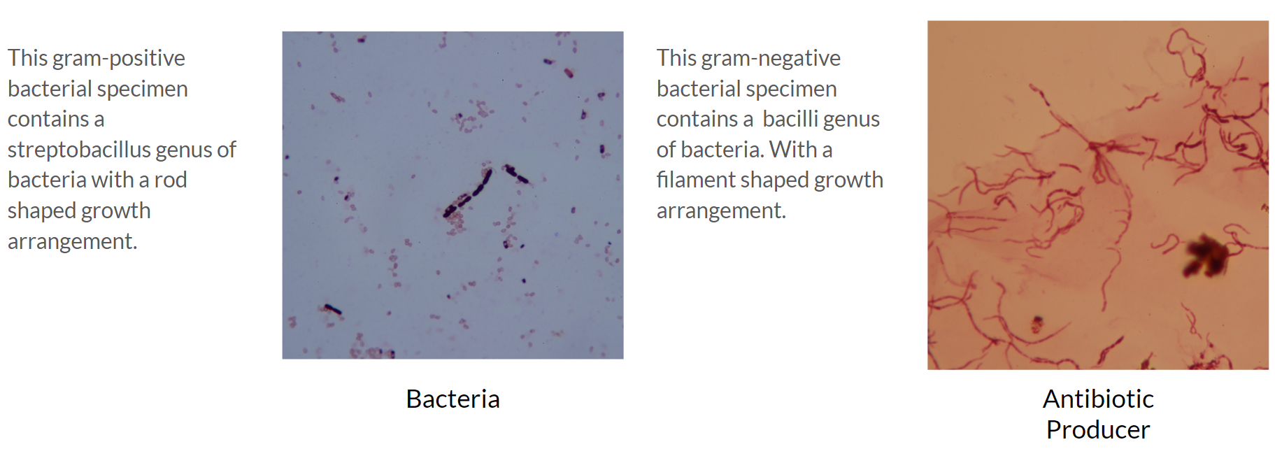 Solved For this question, I am asking for confirmation on | Chegg.com