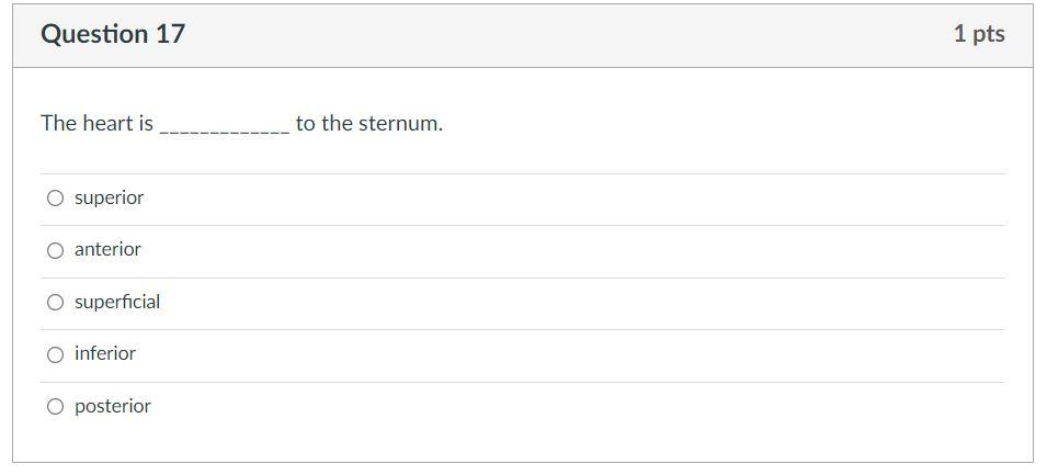 The heart is to the sternum.
superior
anterior
superficial
inferior
posterior