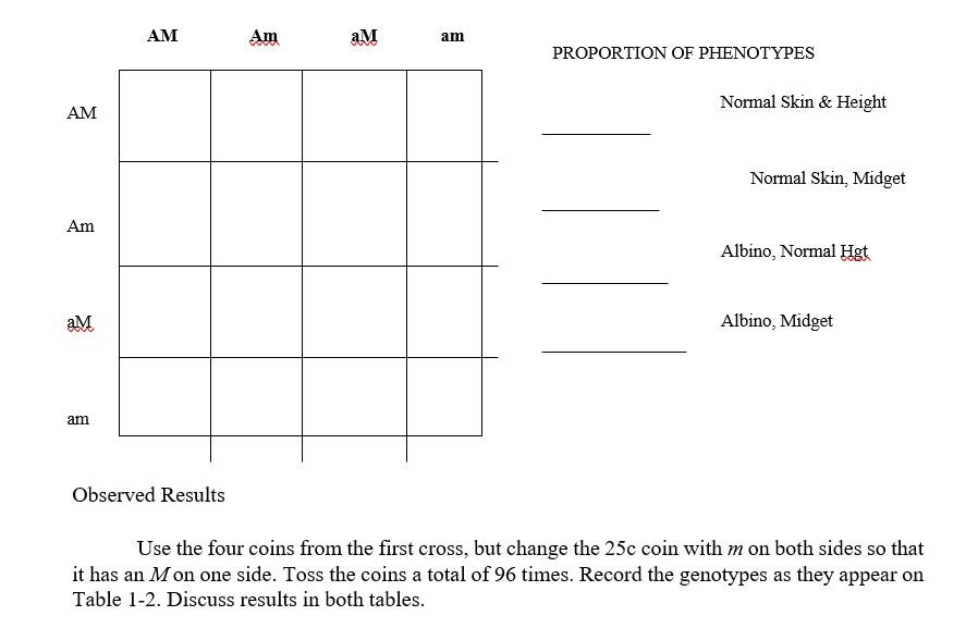 AM Am ам am PROPORTION OF PHENOTYPES Normal Skin &