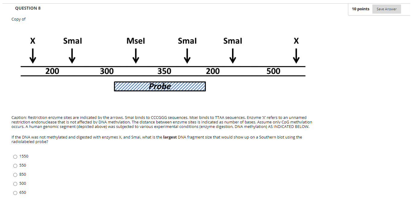 Solved QUESTION 1 10 points Save Answer Which of the | Chegg.com