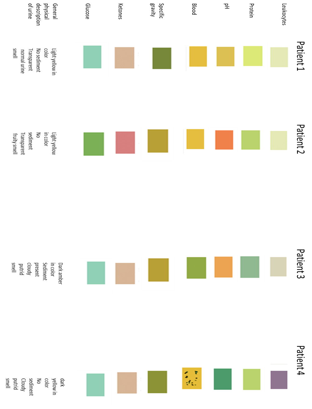 solved-1-list-the-results-of-the-labstix-test-for-patient-chegg