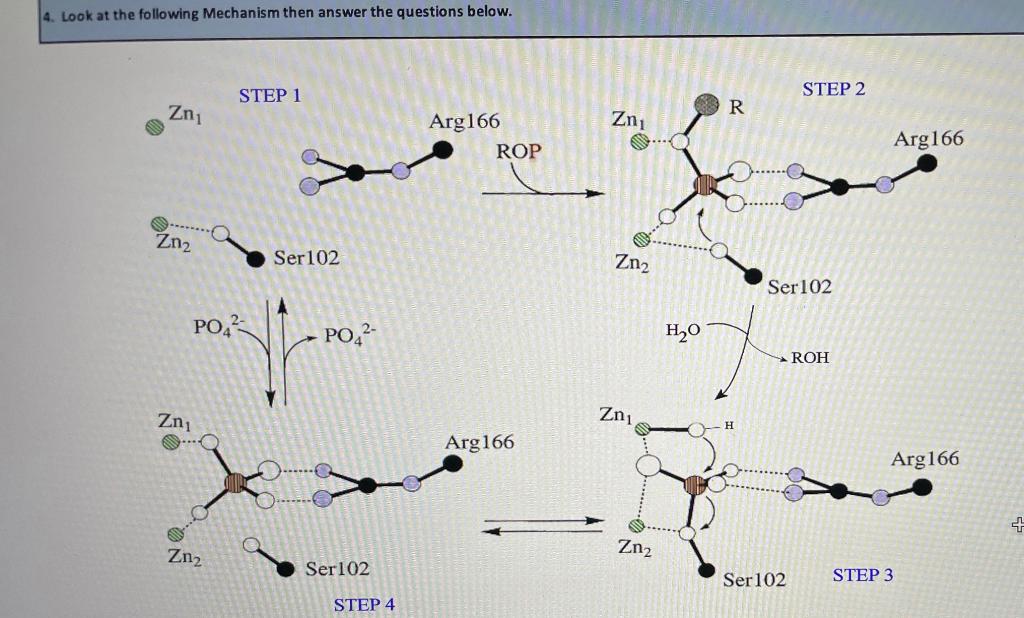 Solved The above is a proposed mechanism adapted from | Chegg.com