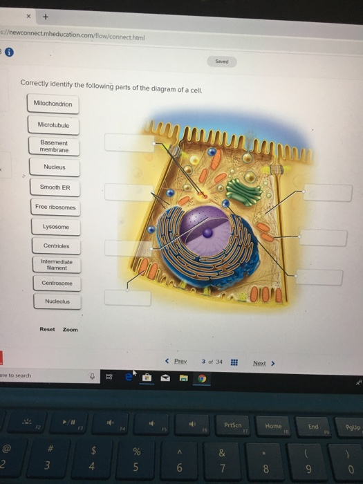 Solved: Com/flow/connect.html Saved Correctly Identify The... | Chegg.com