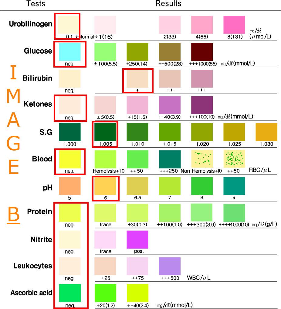 Explain the following CLIAwaived urine tests •