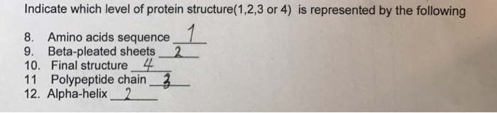Solved Indicate Which Level Of Protein Structure(1,2,3 Or 4) | Chegg.com
