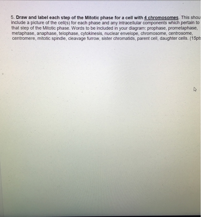 Solved 5 Draw and label each step of the Mitotic phase for Biology Diagrams