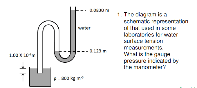 A) Schematic representation of the scale-up study operated for