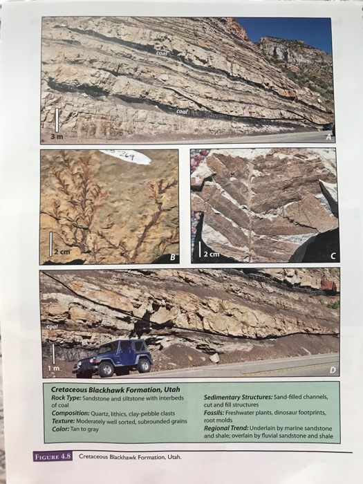 Depositional Environments | PDF | Sedimentary Rock | River Delta