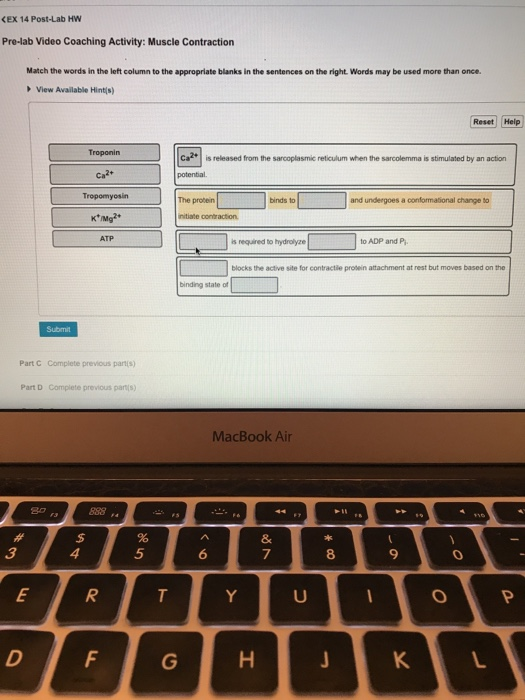 Solved EX 14 PostLab HW Prelab Video Coaching Activity