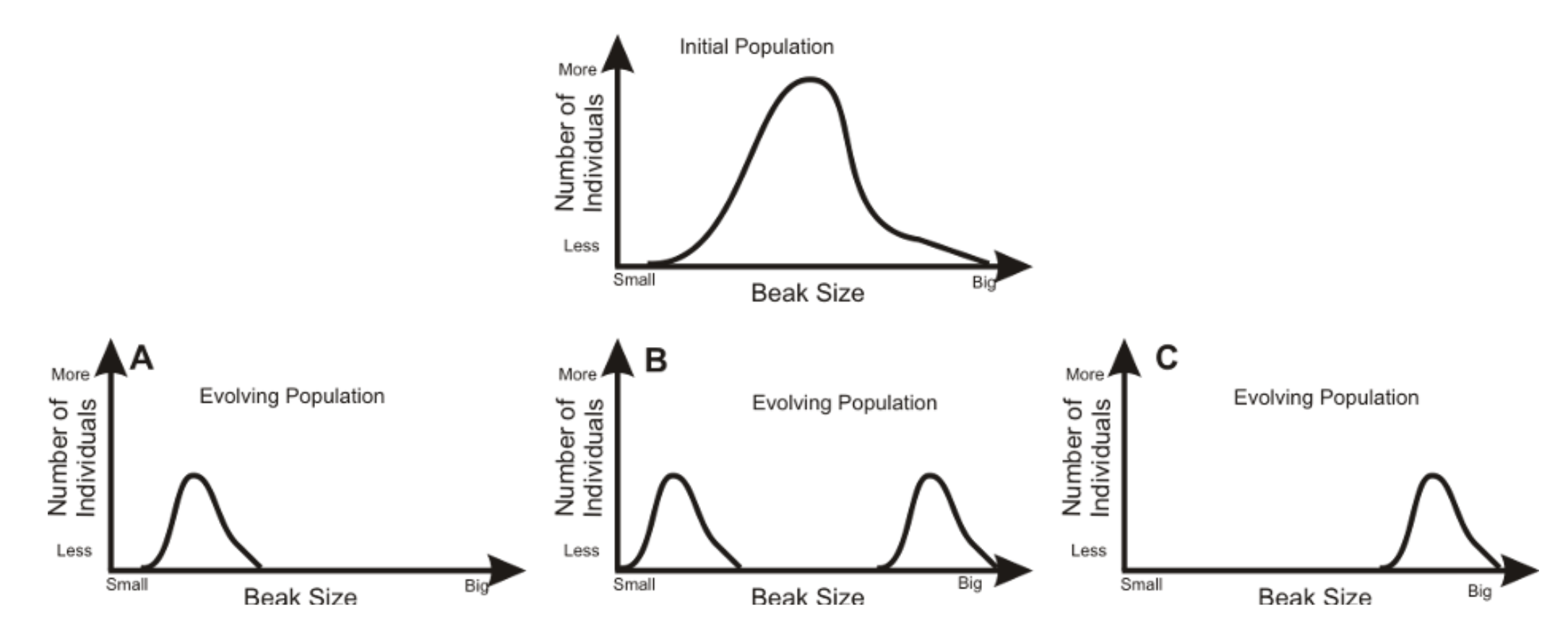 Solved With respect to the impacts of natural selection on | Chegg.com