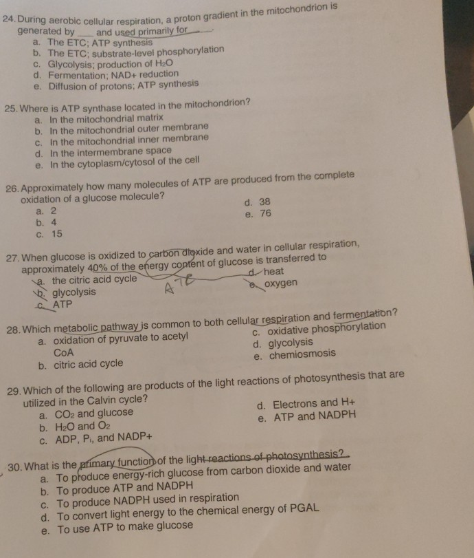 Solved Please Answer All The Questions Above. I�ll | Chegg.com Solved Please Answer All The Questions Above. I�ll | Chegg.com