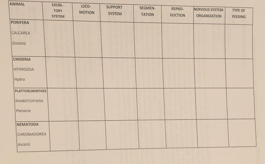 Solved ANIMAL SYMMETRY Animal Diversity 1 Answer Chart BODY