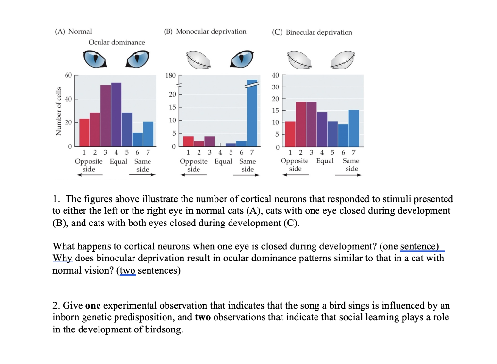 Solved (B) Monocular deprivation (C) Binocular deprivation