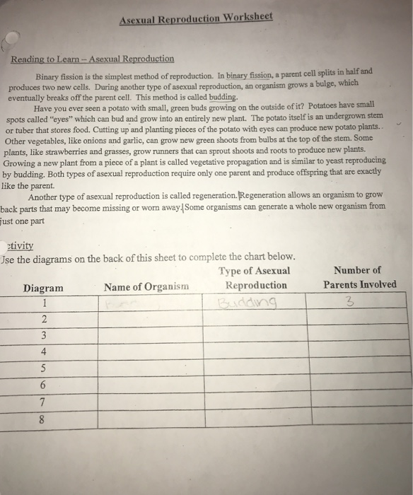 Solved Asexual Reproduction Worksheet Asexual Reproduction Chegg