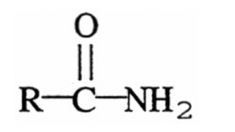 Solved 1 The Functional Group Illustrated Below Is An Chegg Com