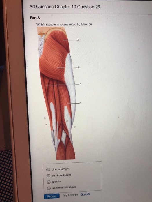 Solved Art Question Chapter 10 Question 26 Part A Which