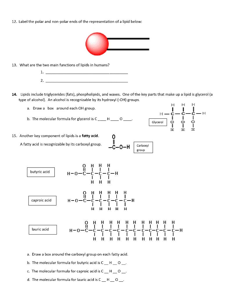 Solved Name: Pd: Lipids Worksheet 22. Are lipids organic  Chegg.com Pertaining To Lipids Worksheet Answer Key