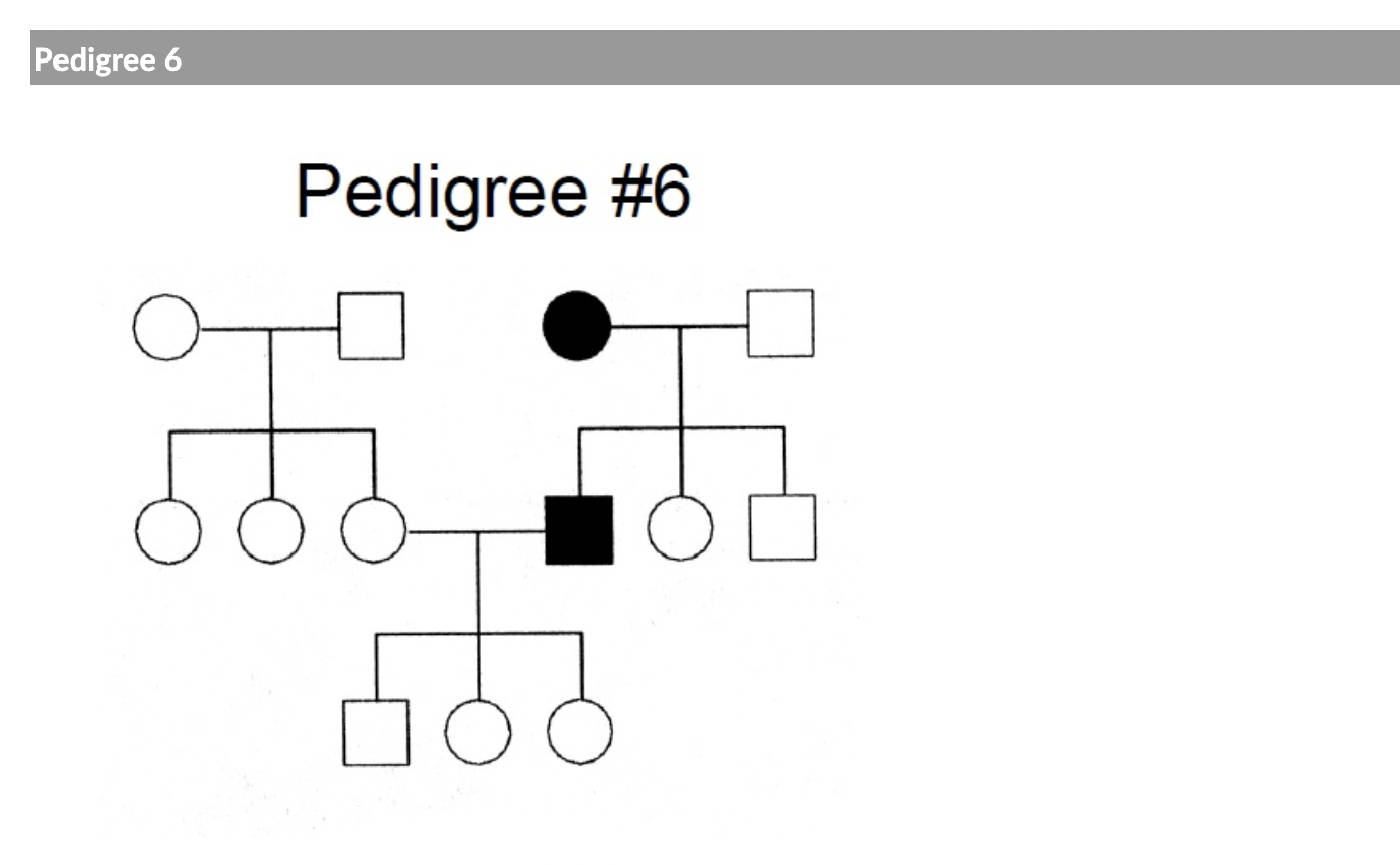 Solved Could the trait indicated in the pedigree above be | Chegg.com