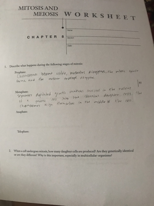 Solved: MITOSIS AND MEIOSIS WORKSHEET CHAPTER8cton Date 1.... | Chegg.com