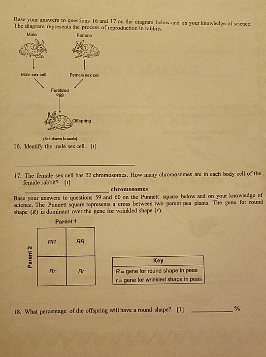 Solved Scientific Method & Measurement 1. The graph below | Chegg.com