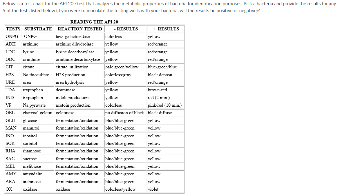 28  Api 20e code book from Famous authors