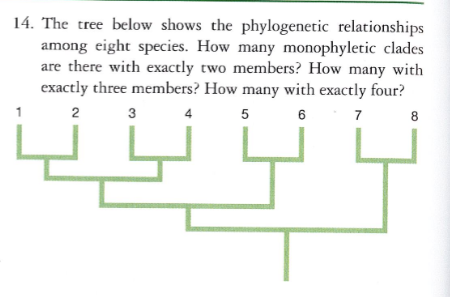 Solved 14. The tree below shows the phylogenetic | Chegg.com