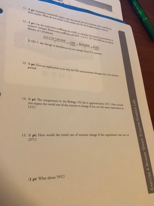 🎉 Enzyme lab report. Enzyme Lab Report. 20190213