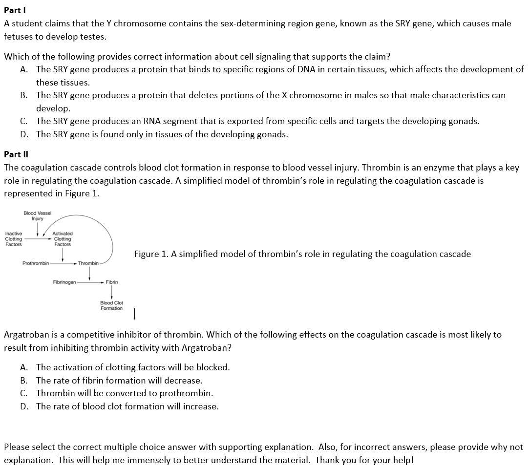 Solved Part 1 A Student Claims That The Y Chromosome | Chegg.com