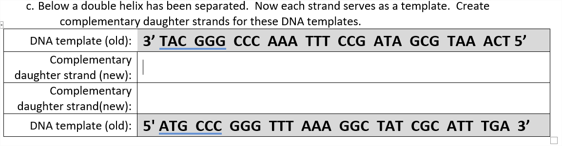 Solved c. Below a double helix has been separated. Now each | Chegg.com