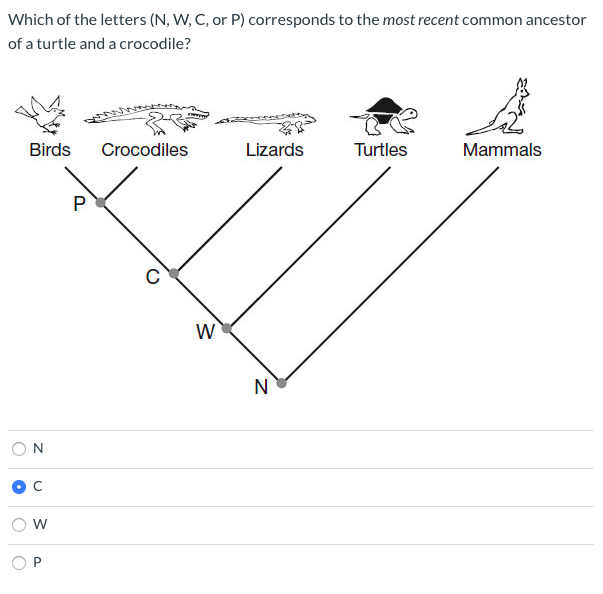 Solved Which Of The Letters N W C Or P Corresponds T Chegg Com