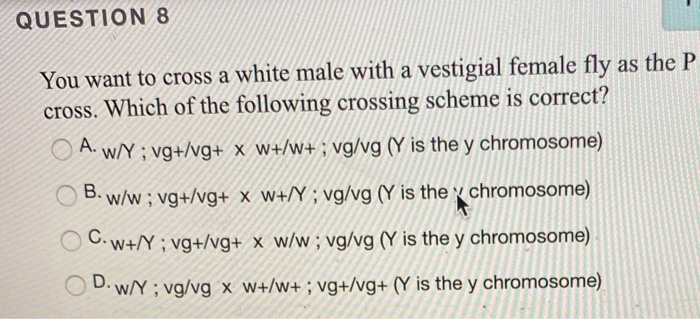 Solved Question 8 You Want To Cross A White Male With A Chegg Com