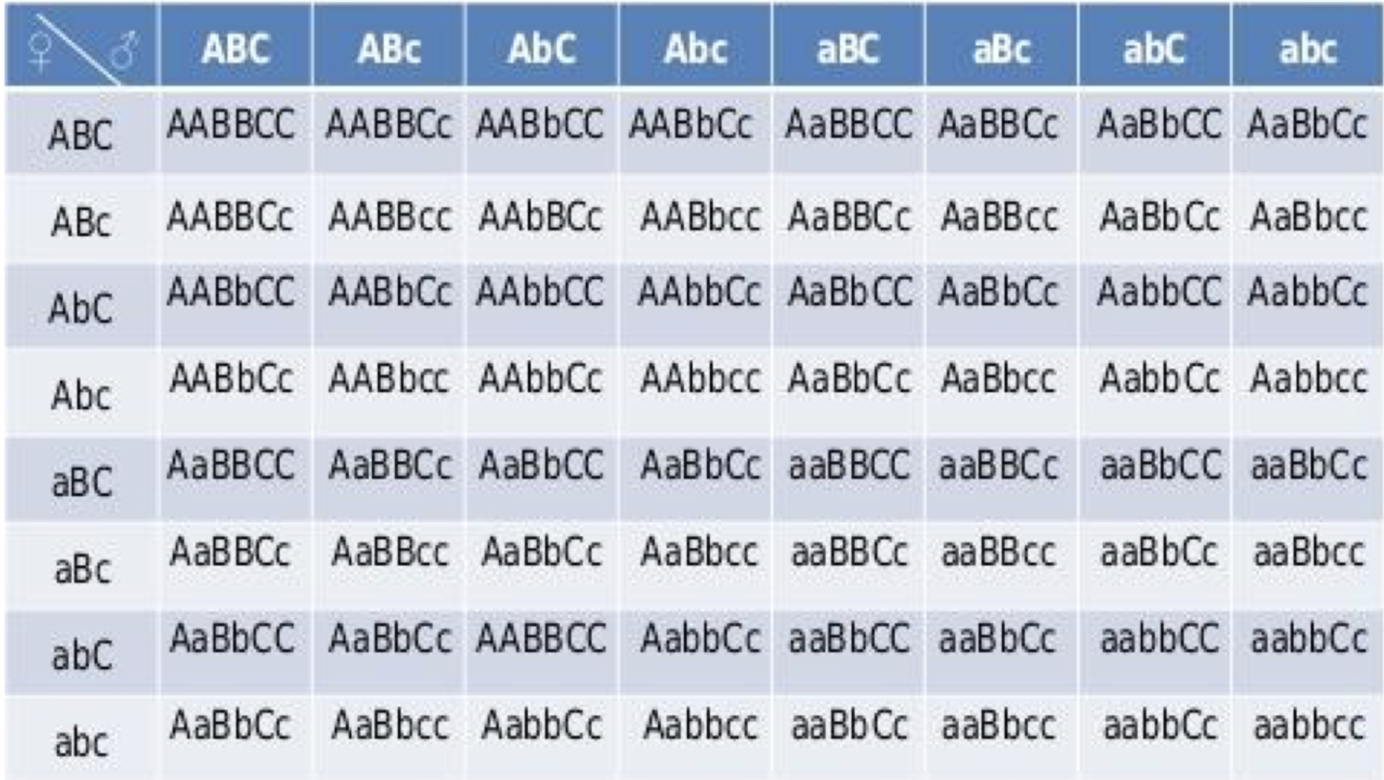 Генотип aabbcc