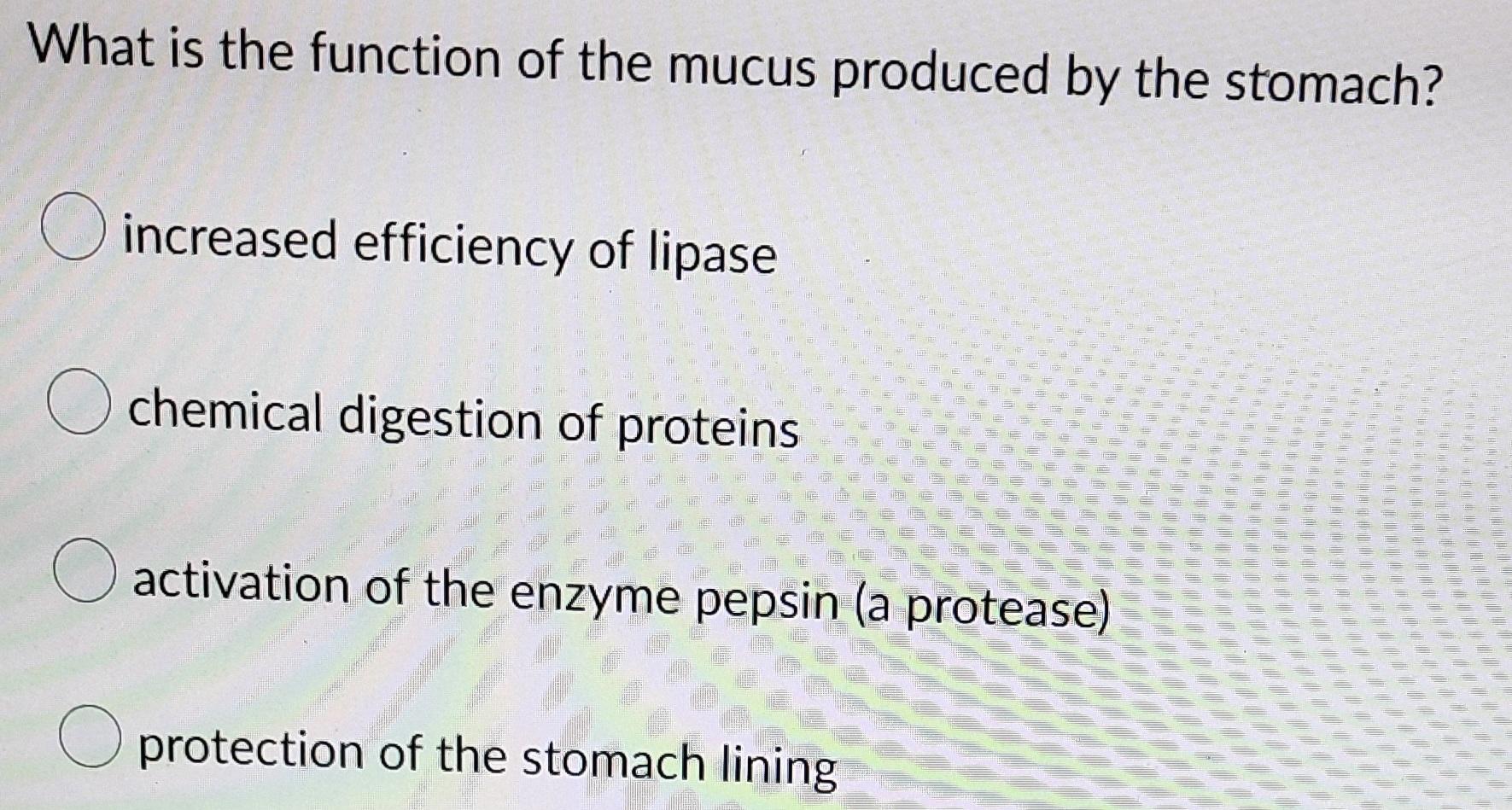 solved-what-is-the-function-of-the-mucus-produced-by-the-chegg