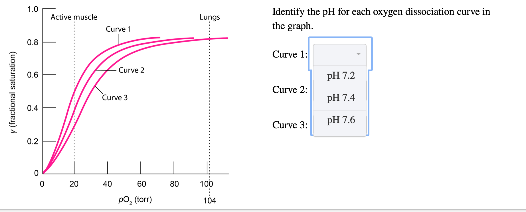 Solved 1.0 Identify the pH for each oxygen dissociation | Chegg.com