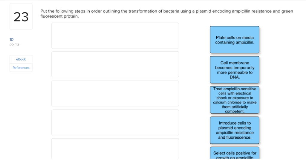 Solved Put the following steps in order outlining the | Chegg.com