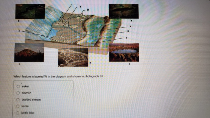 Solved #143 On the diagram below, which letter refors to a | Chegg.com