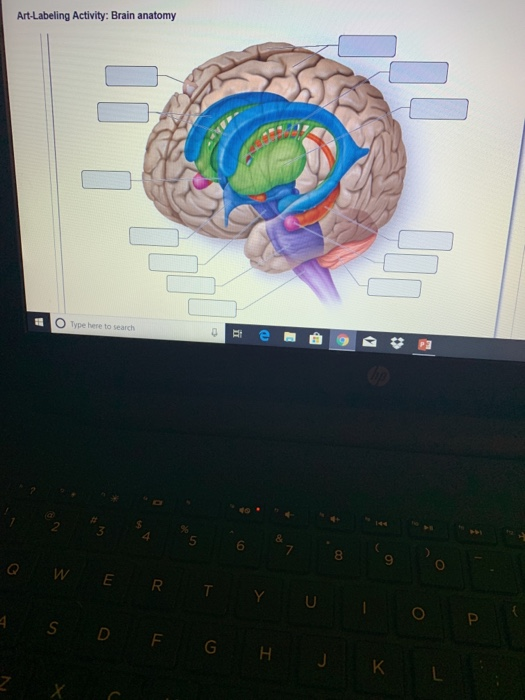Unlock Your Brains Artistic Genius An Art Labeling Activity - xt2d5f8