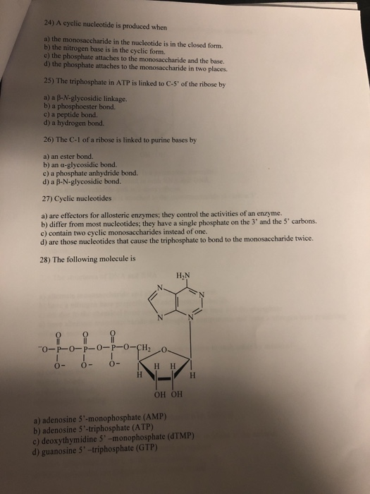 Solved 17) Phosphoric acid can enter in reactions to produce | Chegg.com