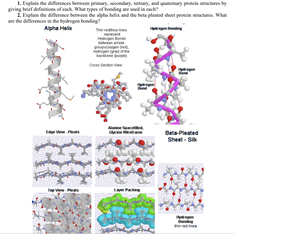 protein structure primary secondary tertiary and quaternary