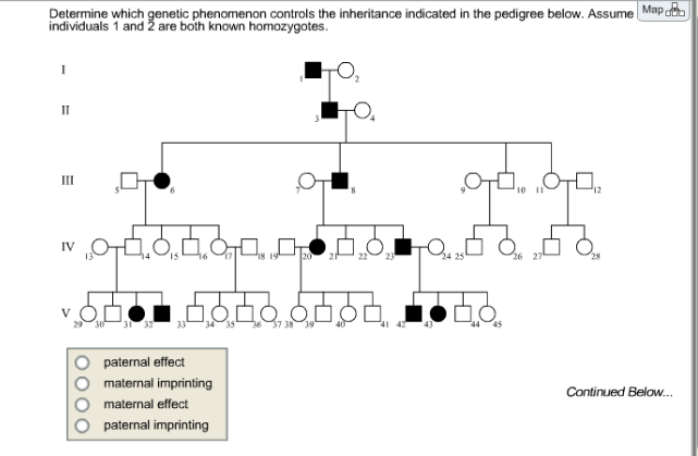 Solved Determine which genetic phenomenon controls the | Chegg.com