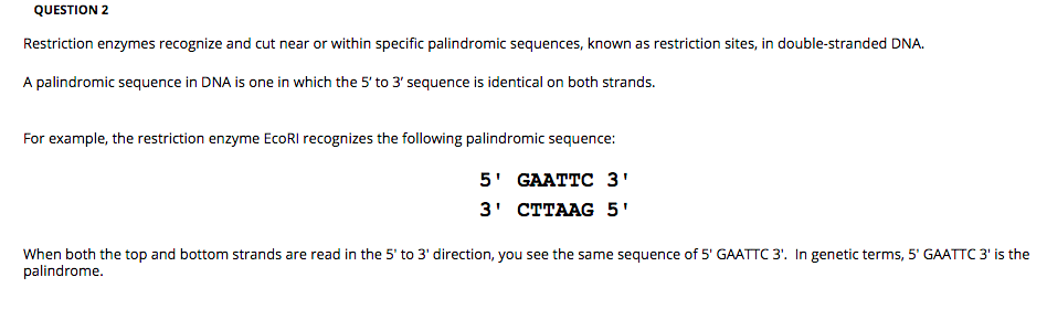 restriction enzyme recognition sites are palindromic