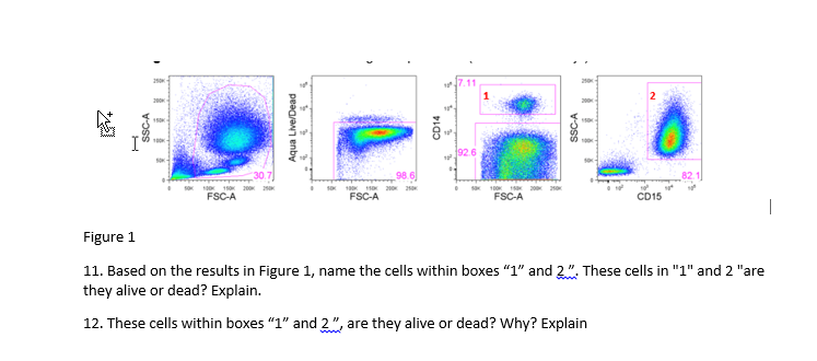 Solved 250 17.11 SSC-A Aqua Live/Dead CD14 SSC-A 1926 98.6 | Chegg.com