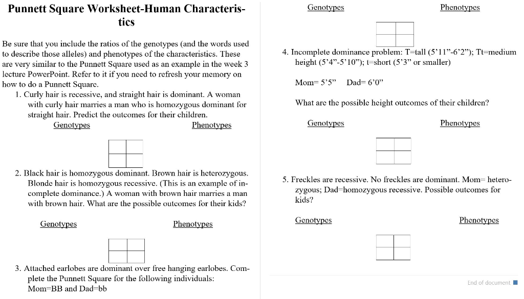 Solved Punnett Square Worksheet Human Characteris Chegg com