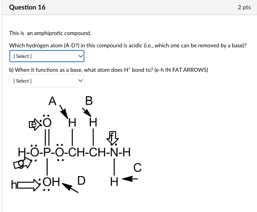 Solved Question 16 2 pts This is an amphiprotic compound. | Chegg.com