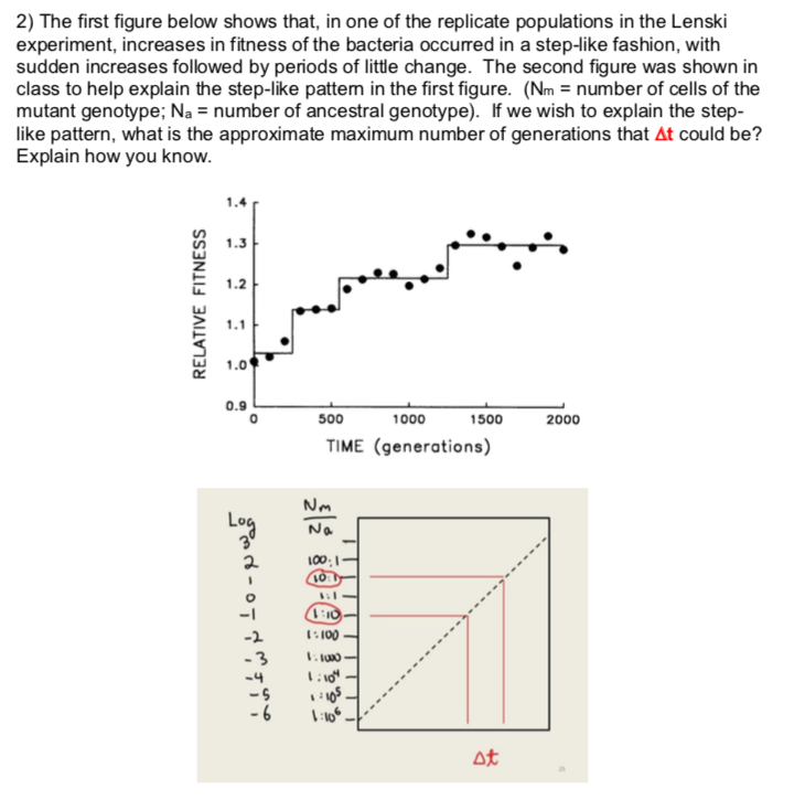 lenski experiment