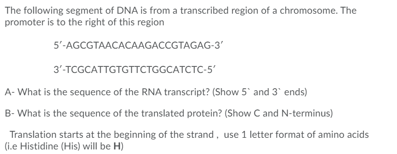 Solved The following segment of DNA is from a transcribed | Chegg.com