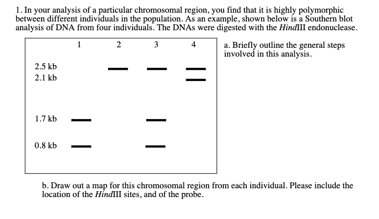 Solved 1. In your analysis of a particular chromosomal | Chegg.com